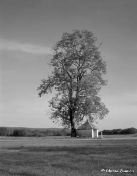 Edward Levinson Spots of Light France 004