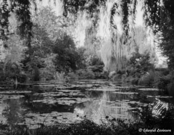 Edward Levinson Spots of Light France 032