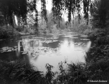 Edward Levinson Spots of Light France 033