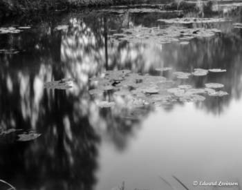 Edward Levinson Spots of Light France 035