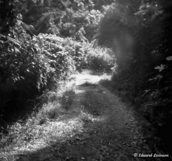 Edward Levinson Journey 001