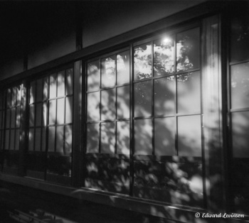 Edward Levinson Journey 013