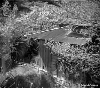 Edward Levinson Journey 017