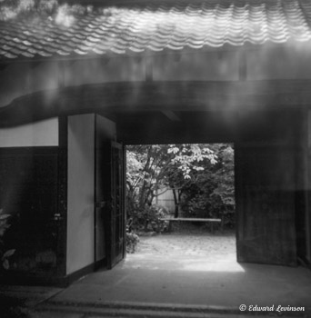 Edward Levinson Journey 022
