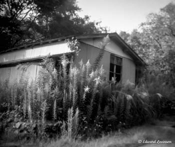 Edward Levinson Journey 026