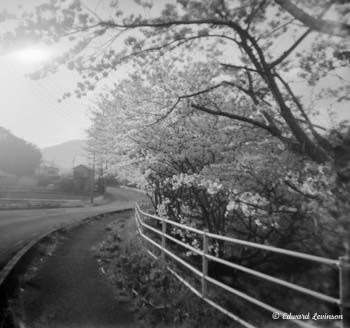 Edward Levinson Journey 028